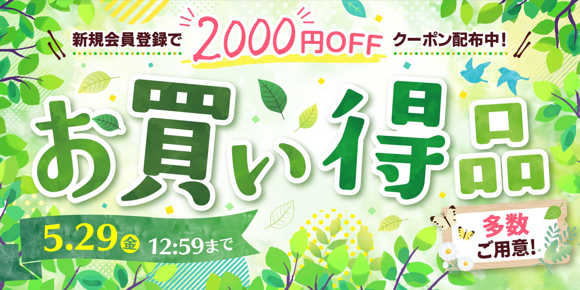 2605_coupon_green_pc.jpg